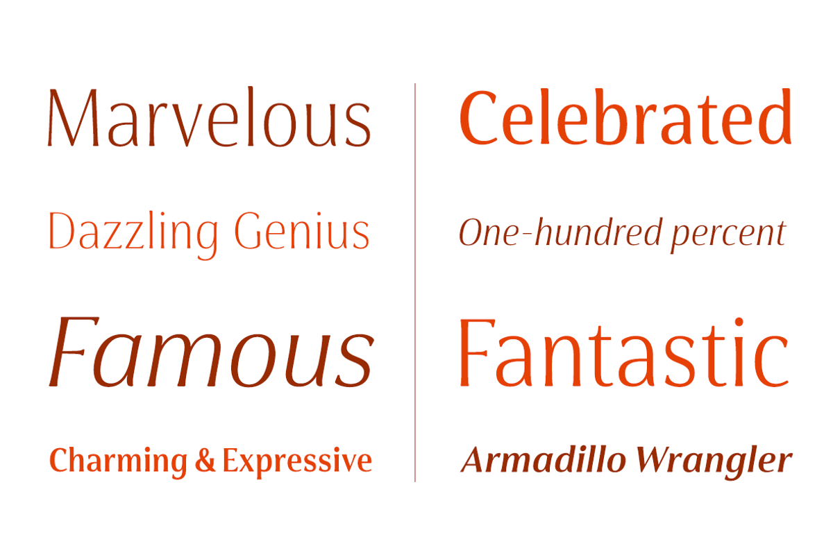 Cabrito Flare, a Sans Serif Font by insigne (Photo 4 of 6)