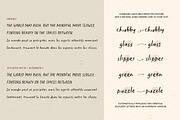 The Minimalist | Handwritten Font, a Handwritten Font by type peace (Thumbnail 14 of 17)