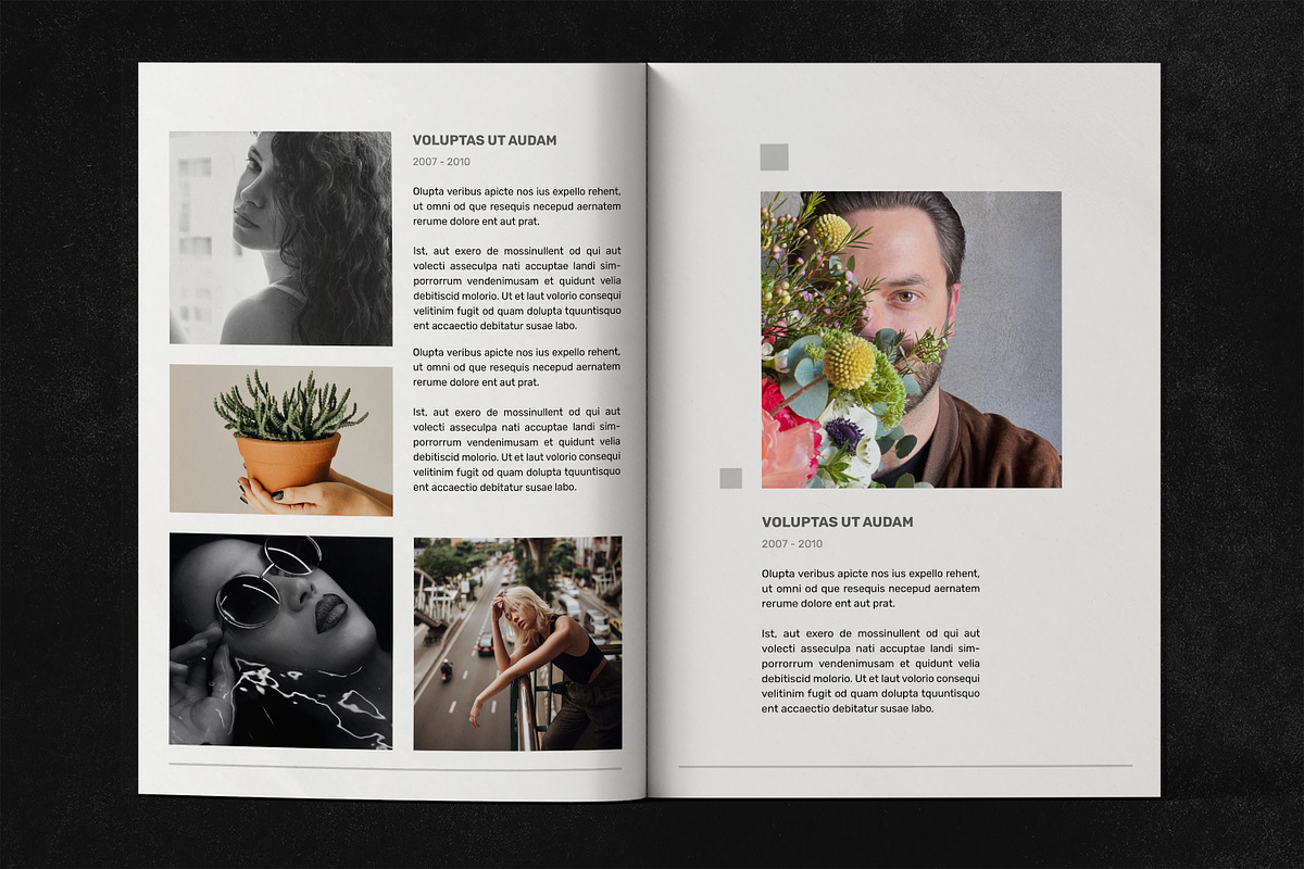 Portfolio Template, a Brochure Template by FlyeredTemplate (Photo 5 of 11)