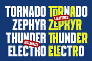 Burghen - Modern Condensed, a Sans Serif Font by Novitype (Thumbnail 9 of 14)