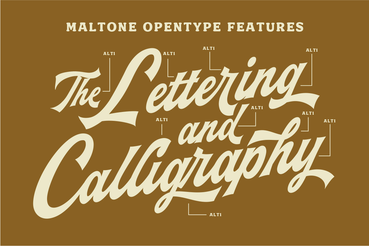 Maltone Script, a Script Font by Letterhend Studio (Photo 4 of 10)
