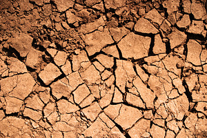 Cracked earth, a Photo by saiko3p