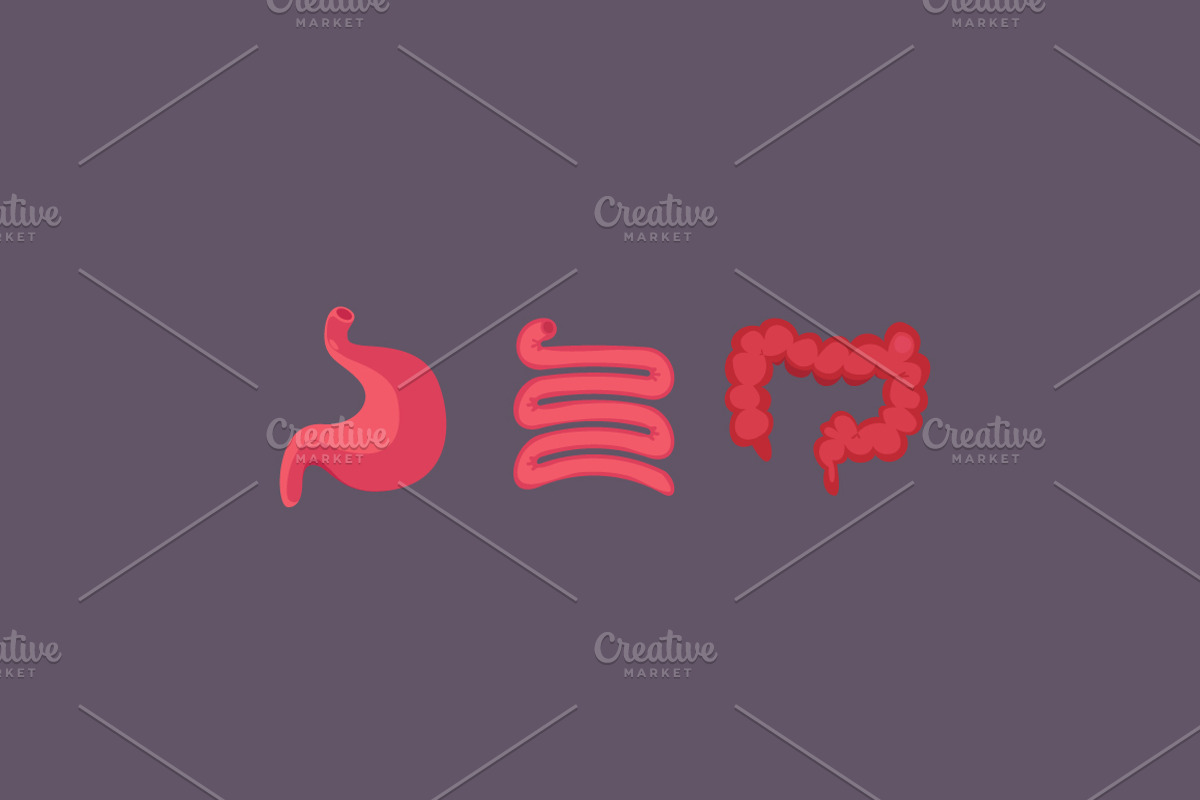10 Human Organs, an Icon by Beatriz Gascón (Photo 4 of 4)