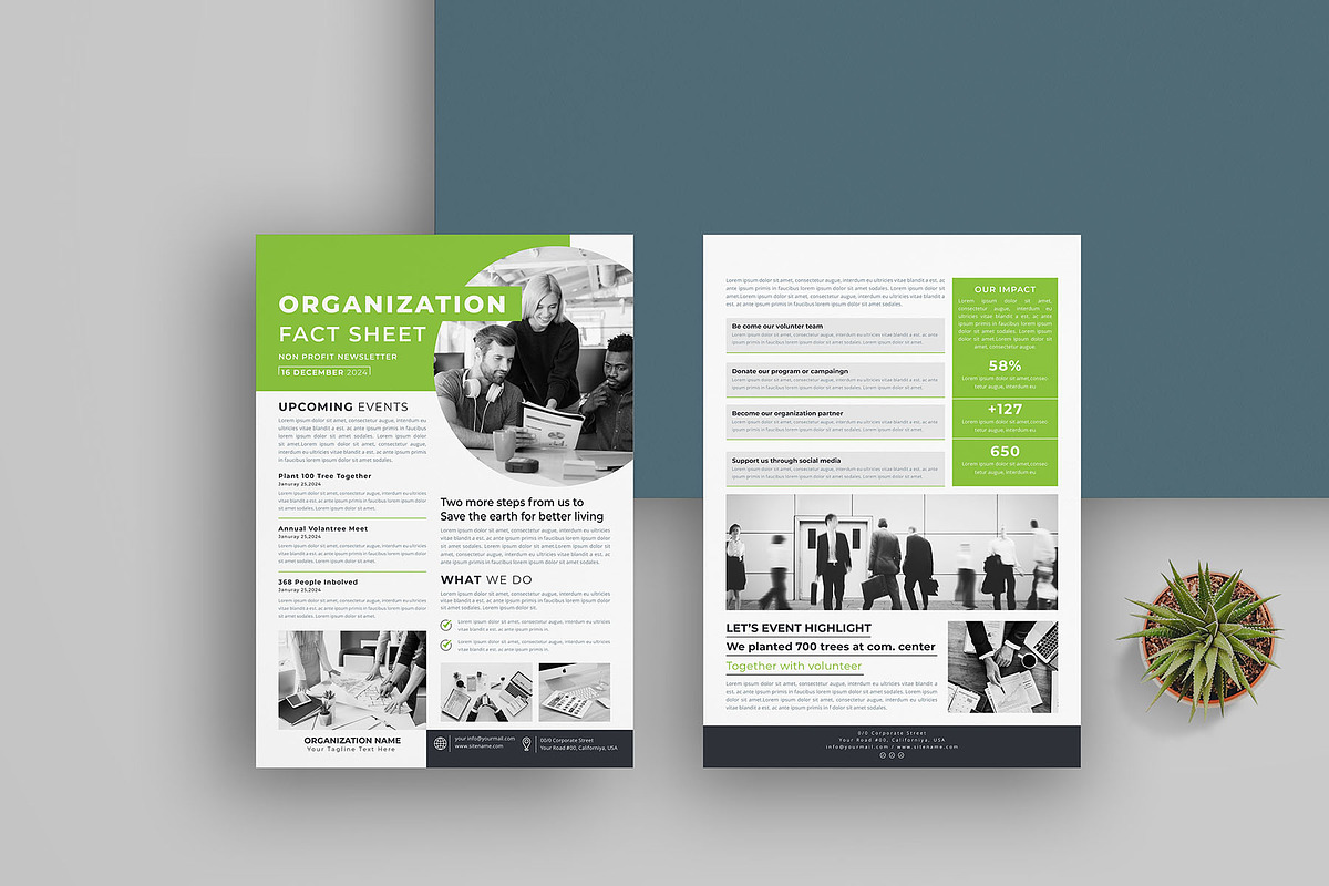 Nonprofit Organization Fact Sheet, a Flyer Template by obayes (Photo 3 of 4)