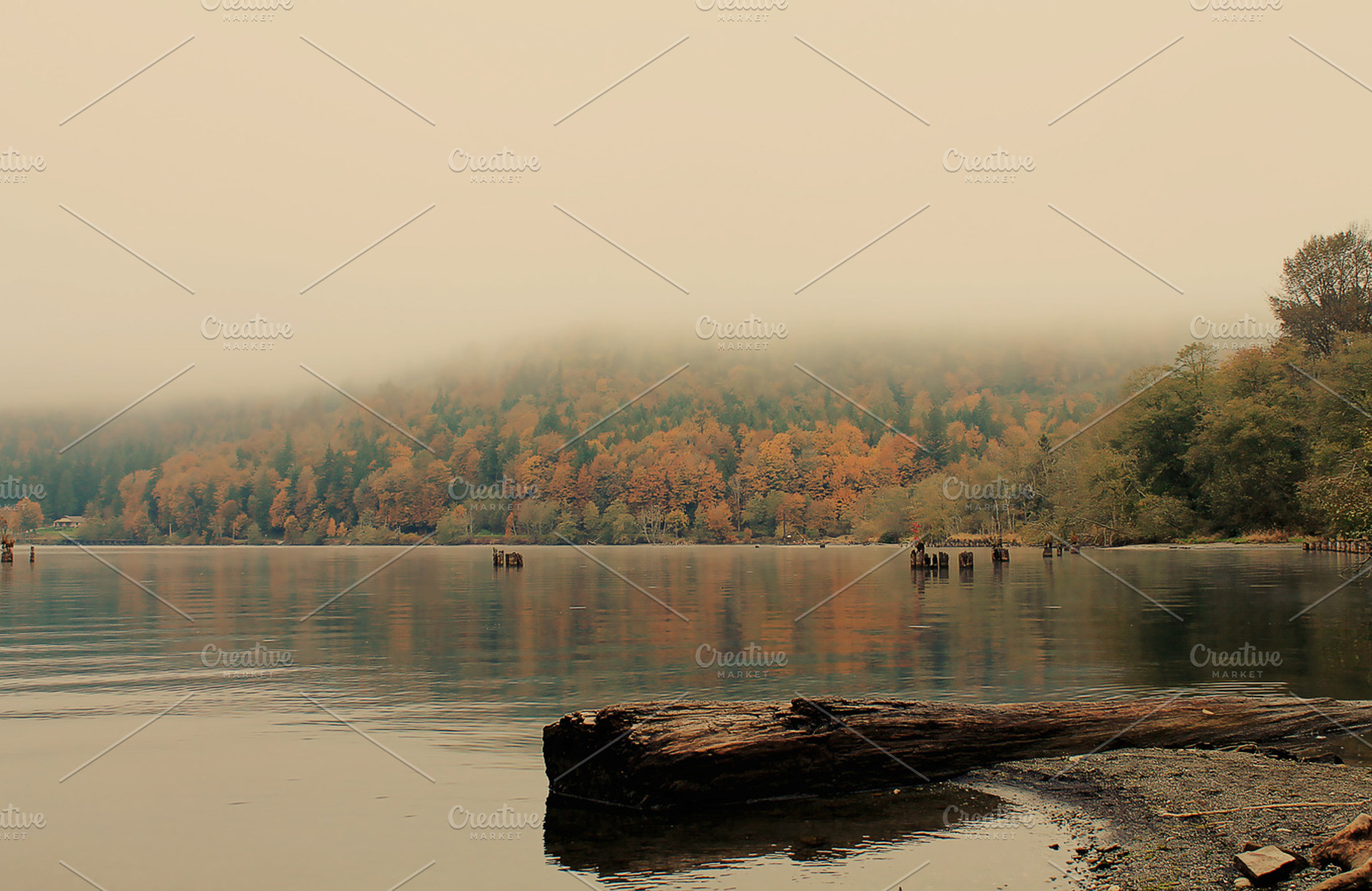 Foggy Fall Morning on the Lake, a Nature Photo by Creatively Happy Studio