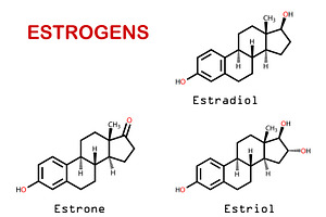 Female sex hormones estrogenes, a Healthcare Illustration by Leonid Andronov