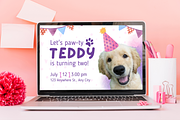 Let's Paw-ty Pet Birthday Invitation, a Design Template by TemplateCastleStore (Thumbnail 5 of 9)