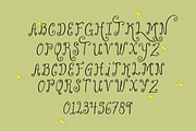 GARDEN WHISPER | WHIMSY CURLY FONT, a Handwritten Font by Maria Feliz Fonts (Thumbnail 9 of 10)