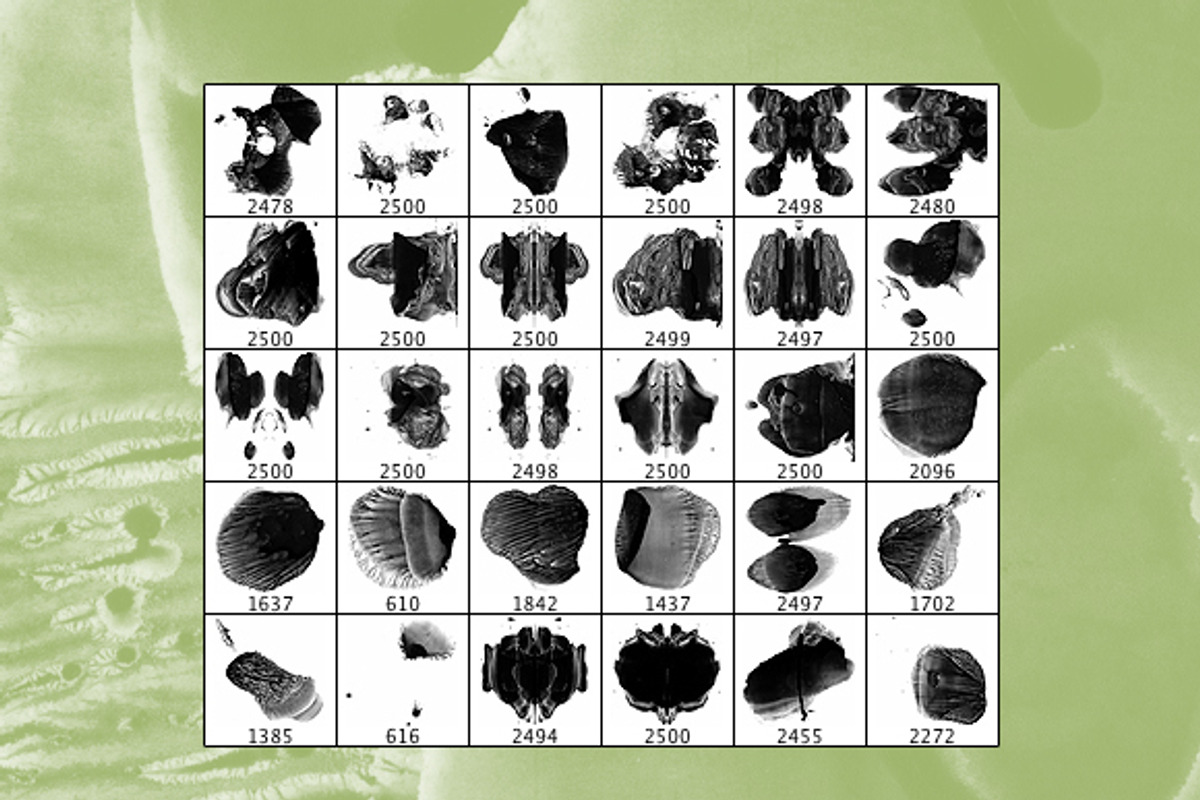 RORSCHACH INK BLOT PHOTOSHOP BRUSHES, a Brush Add-On by jeffportaro (Photo 2 of 2)