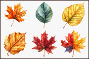 Watercolor Fall Autumn Leaves Clipar, an Illustration by Sublimation Artist (Thumbnail 3 of 6)