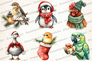 Christmas Birds Sublimation Clipart, an Illustration by DreamCafeArt (Thumbnail 4 of 7)
