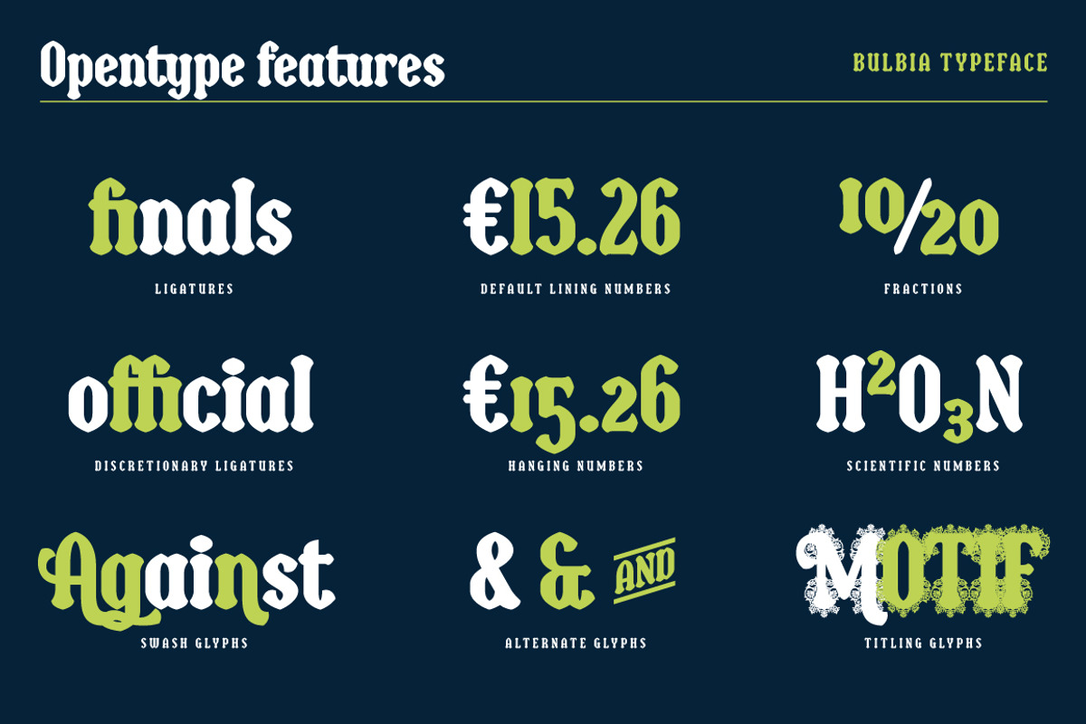 Bulbia, a Serif Font by Typogama (Photo 3 of 14)