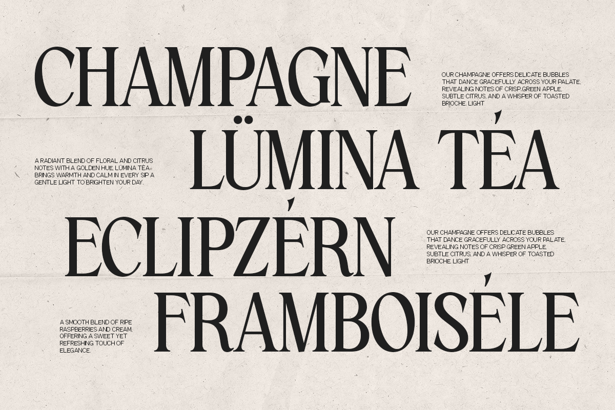 GC Amelie Promised – Italic Serif, a Serif Font by Glyphonic (Photo 14 of 15)