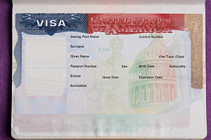 Blank american visa, a Business Photo by PixieMe