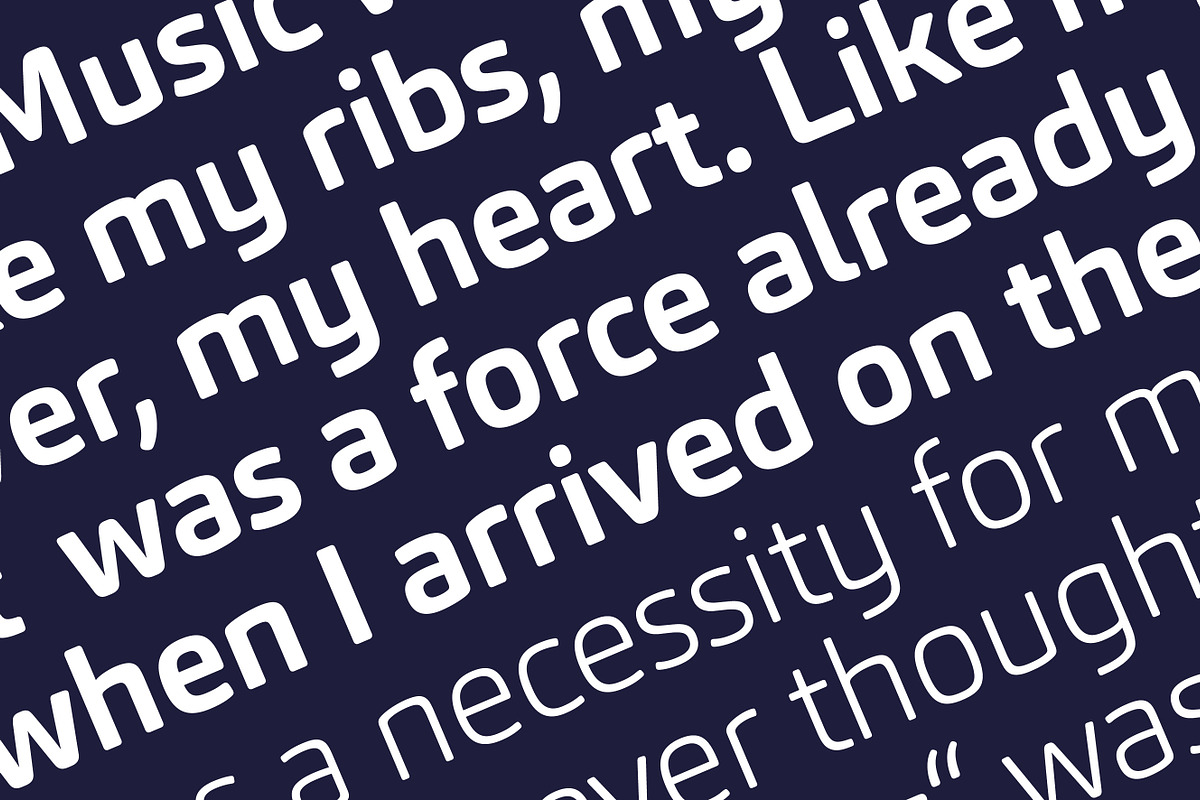 Carnas, a Sans Serif Font by Hoftype (Photo 13 of 15)