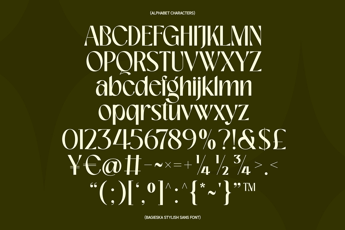 Bagieska Stylish Sans Serif Font, a Sans Serif Font by Heinzel Std (Photo 9 of 11)