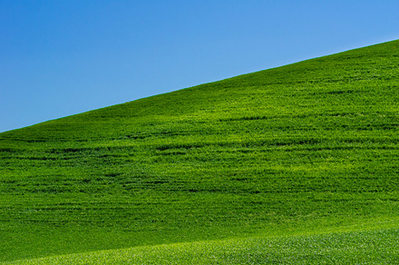 Field Of Potatoes With Clouds In Sky preview 6