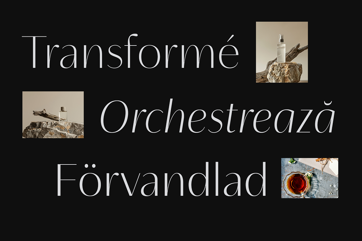 Neue Mylon - 21 Fonts, a Sans Serif Font by Nasir Udin (Photo 13 of 14)