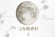 Spring Watercolor Illustration, an Animal Illustration by beehouse studio (Thumbnail 4 of 11)