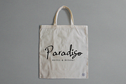 Anthus Signature, a Handwritten Font by Eltypesstudio (Thumbnail 4 of 10)