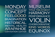 Heather, a Font by True Story Letterworks (Thumbnail 8 of 10)