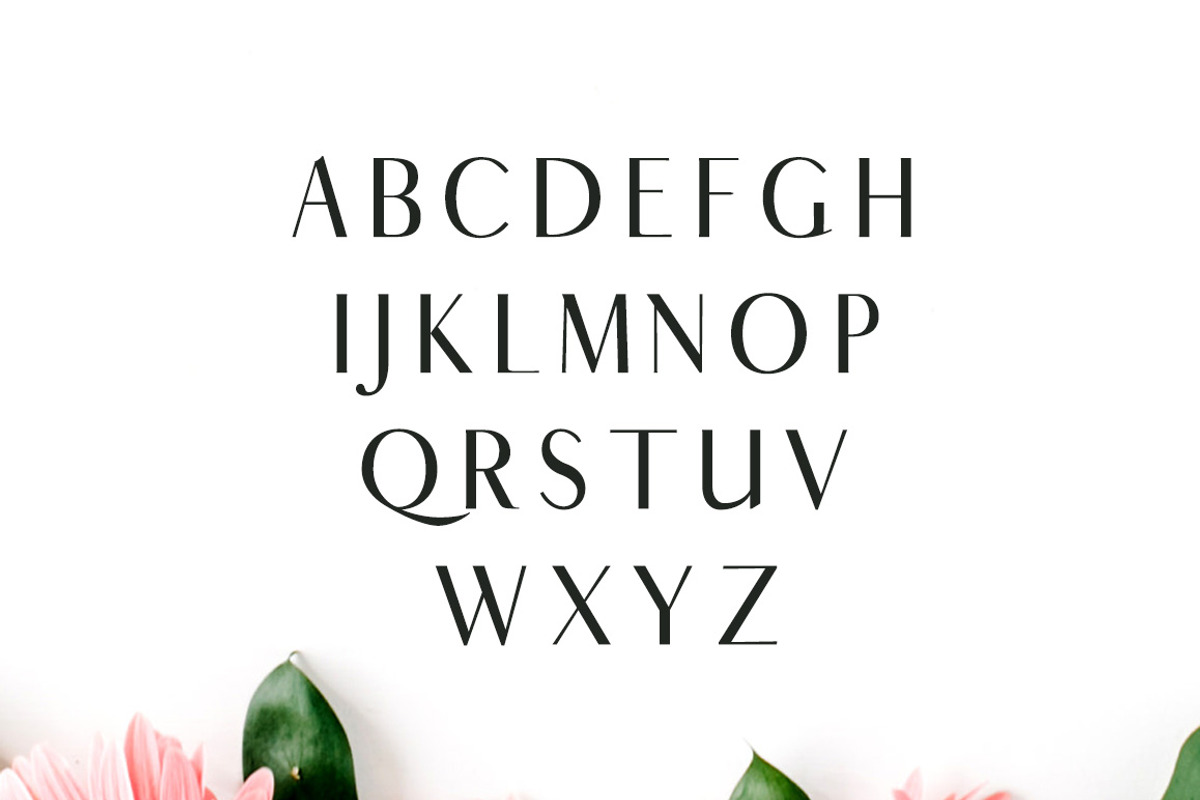 Cordaro Sans Serif 2 Font Family preview 2
