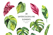 Tropical Foliage Watercolor set, a Decorative Illustration by Liliia Polos Illustration (Thumbnail 13 of 14)