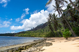 Anaho Bay and beach with palm trees, Nuku Hiva, French Polynesia, a Nature Photo by GoodGoods