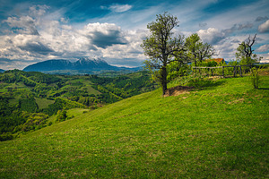 Old ranch on the slope, a Nature Photo by Alpine Dreams