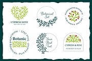 Linocut Conifer Branches Vector Set, a Decorative Illustration by Lettering_Logo (Thumbnail 5 of 13)