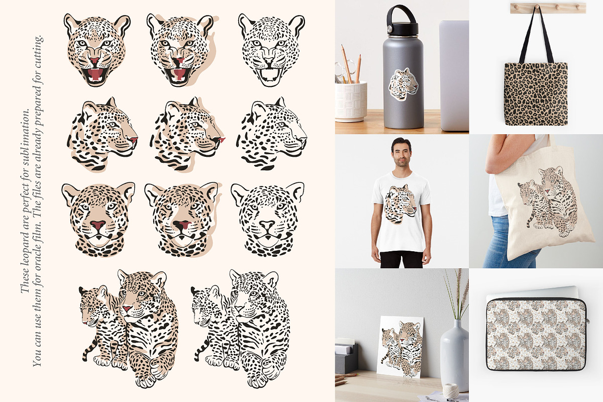 African leopard, an Animal Illustration by Siriliadka Dreams (Photo 3 of 6)