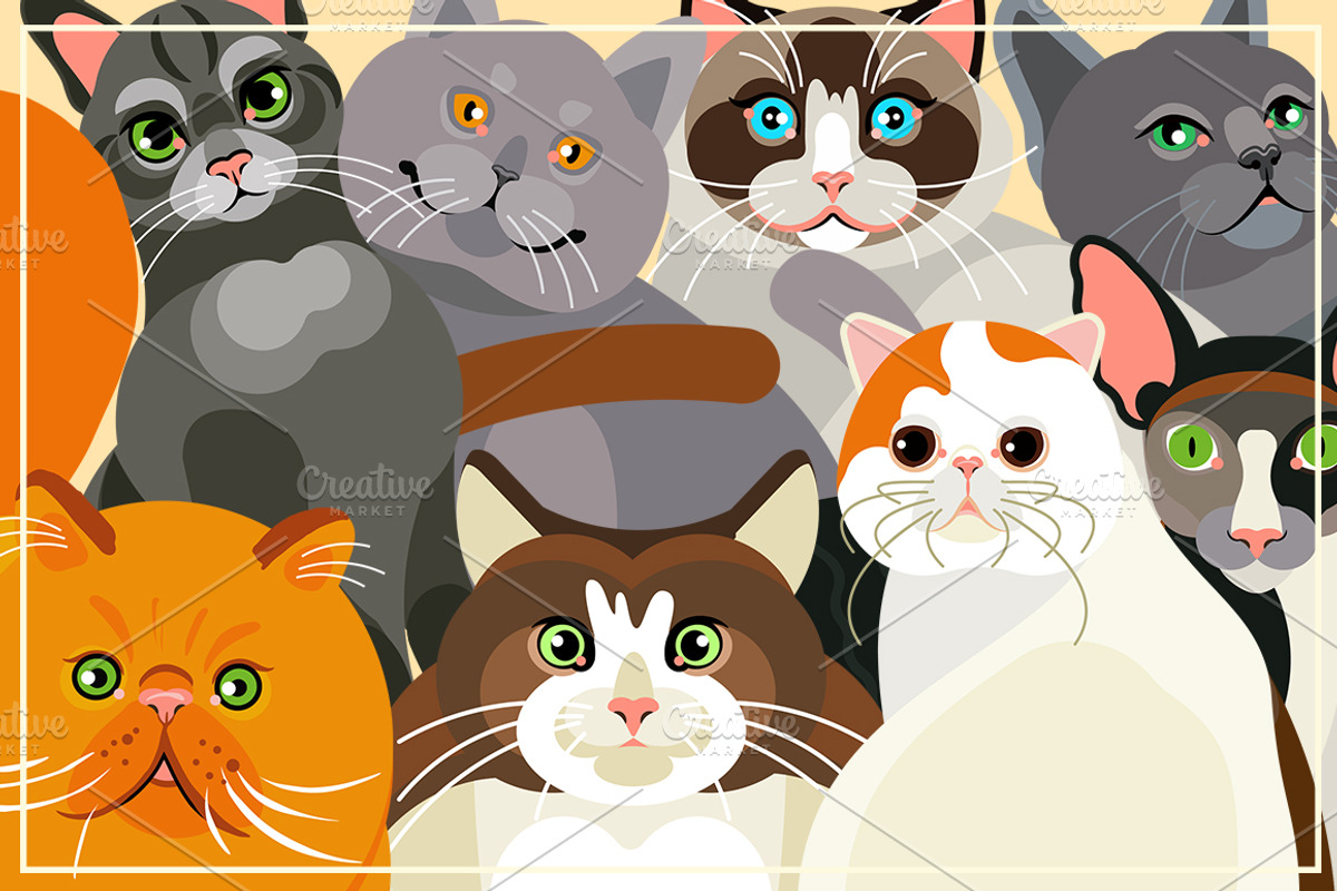 Cats Collection. Vector Illustration, an Animal Illustration by Moloko88