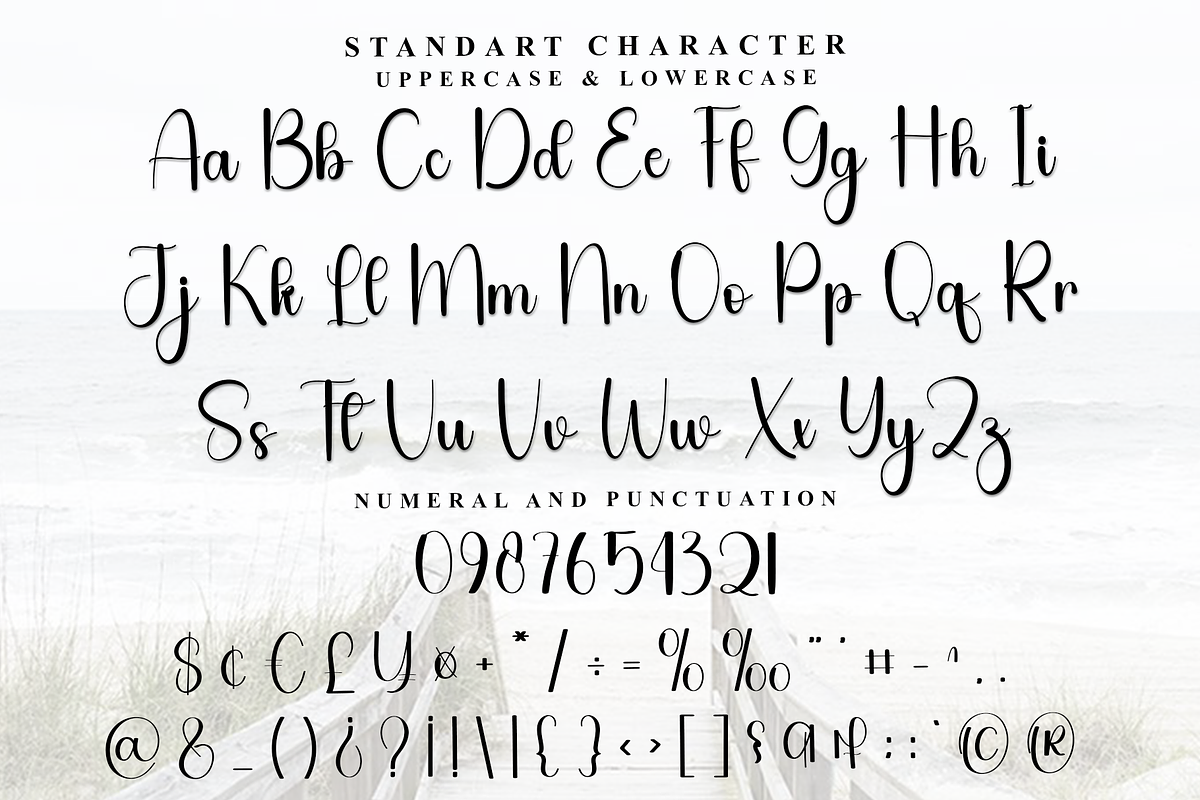 Flamingo, a Handwritten Font by FreshTypeINK (Photo 2 of 8)