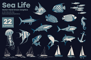 Sea Life - Marine and Nautical
