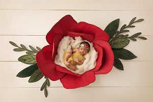 Newborn Digital Backdrop