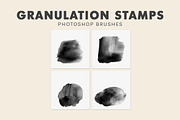 Granulation Stamps Photoshop Brushes, a Brush Add-On by AB-TheDesigner (Thumbnail 4 of 4)