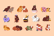 Funny guinea pigs set + patterns, an Animal Illustration by PaperTrident (Thumbnail 1 of 5)