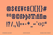 Sanford Region - Variable Font, a Slab Serif Font by Letterhend Studio (Thumbnail 11 of 11)