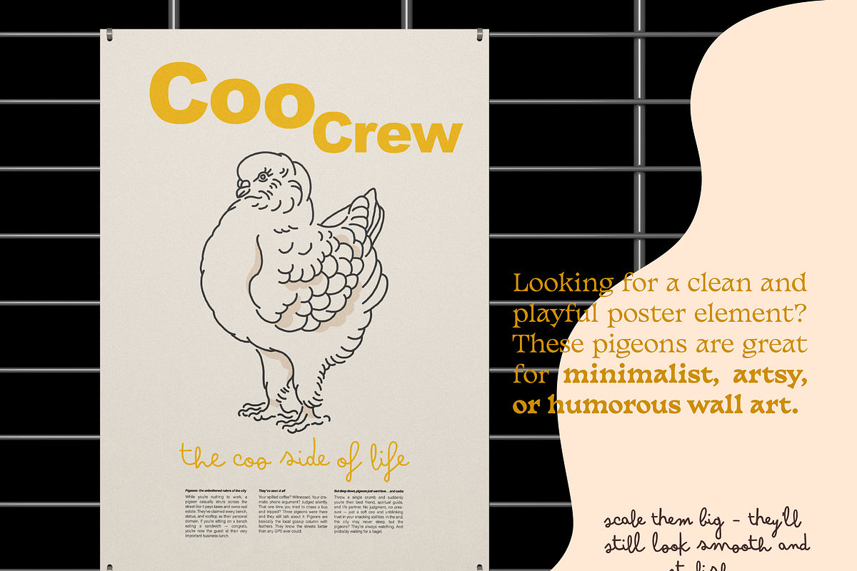 Pigeon vector illustrations, an Illustration by Hey Masha (Photo 4 of 9)
