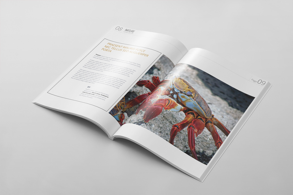 Magazine Template 43, a Magazine Template by pmvch (Photo 5 of 10)