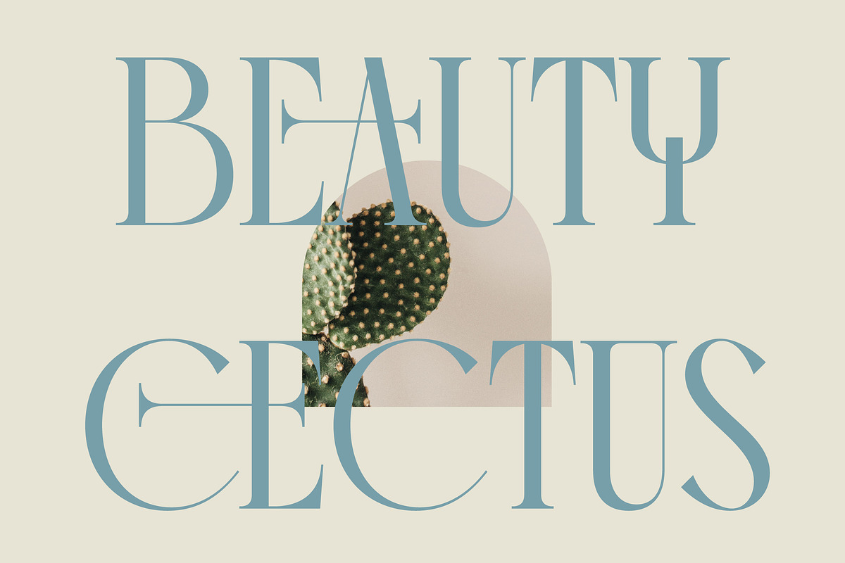 Comela Elegant Ligature Serif, a Serif Font by timelesstype.co (Photo 4 of 20)