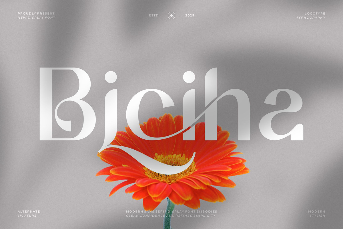 Biciha || Minimalist Sans Serif Font, a Sans Serif Font by Ermedia Studio (Photo 1 of 10)
