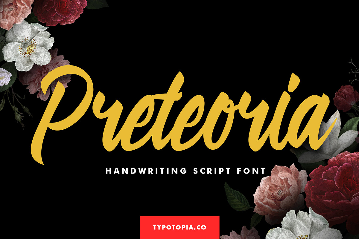 Preteoria Script, a Script Font by edukka (Photo 1 of 10)