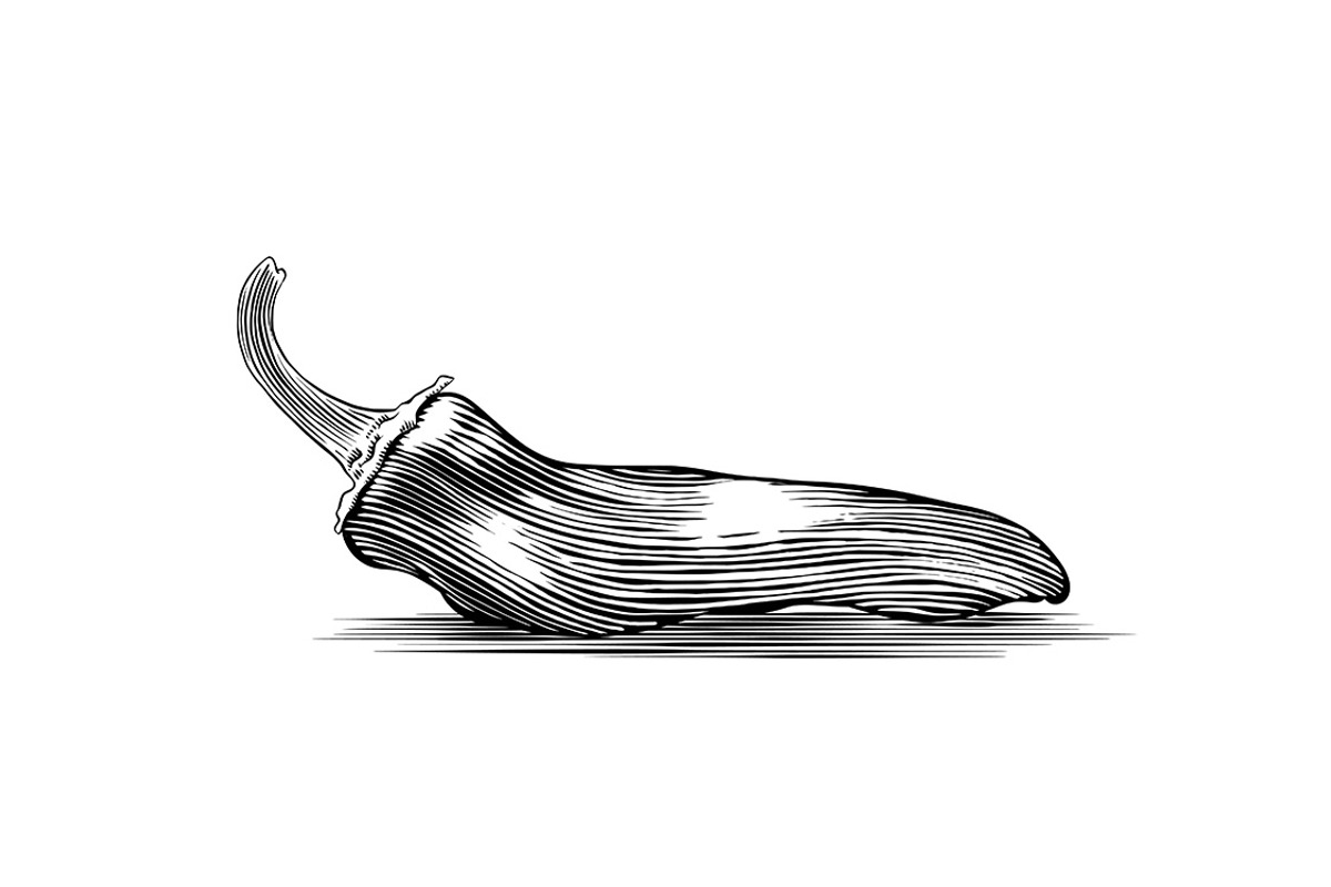 Salsa Vegetables, a Food Illustration by blue67sign (Photo 3 of 5)