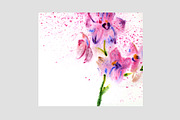Watercolor flowers. 9 posters, an Illustration by Anna Guz's Store (Thumbnail 6 of 8)