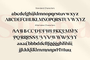Stiepa | Modern Serif & Sans, a Serif Font by Dora Typefoundry (Thumbnail 25 of 28)