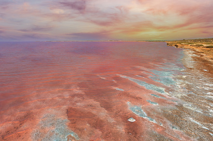 Pink salty Syvash Lake, Ukraine, a Nature Photo by YuriyB