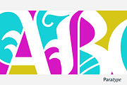 Carol Gothic, a Blackletter Font by Paratype (Thumbnail 4 of 8)