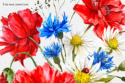 Red Poppy Watercolor Clipart, an Illustration by Depiano (Thumbnail 4 of 9)