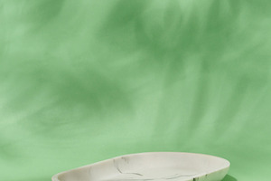 An empty, oval shaped soap dish made of white marble with gray v, a Photo by ndanko